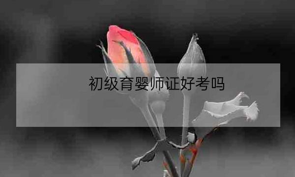 初级育婴师证好考吗,什么时候考初级会计证-全优教育