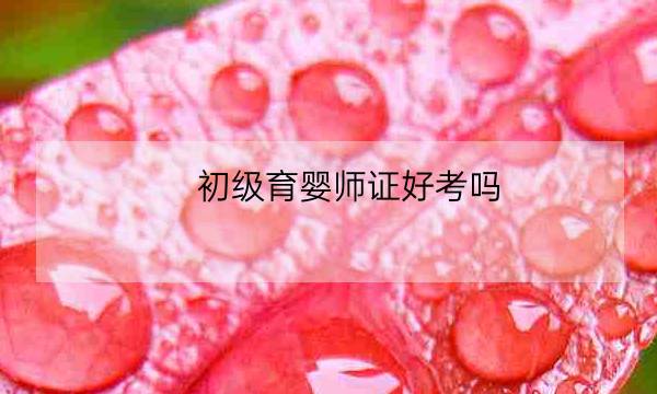 初级育婴师证好考吗,什么时候考初级会计证-全优教育