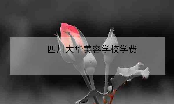 四川大华美容学校学费,皮肤管理学校品牌排行-全优教育