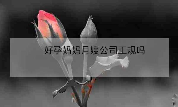 好孕妈妈月嫂公司正规吗,新手月嫂工资多少-全优教育