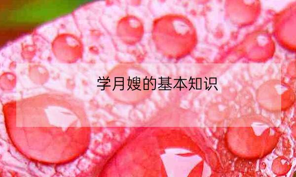 学月嫂的基本知识,月嫂知识-全优教育