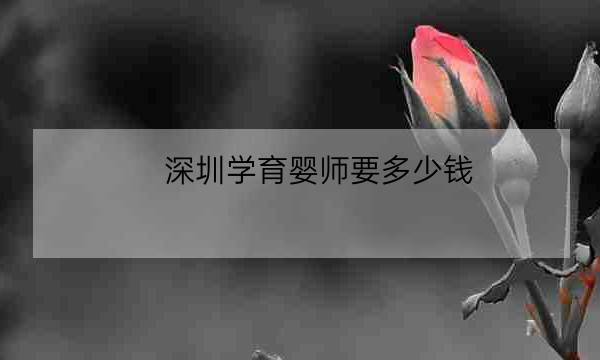 深圳学育婴师要多少钱,在深圳找一个育婴师多少钱一个月-全优教育