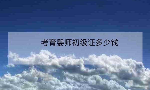 考育婴师初级证多少钱,什么时候考初级会计证-全优教育