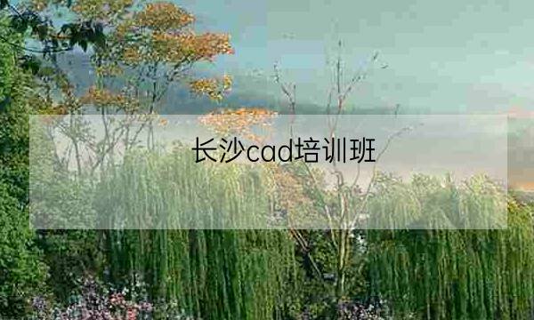 长沙cad培训班,长沙计算机培训学校-全优教育